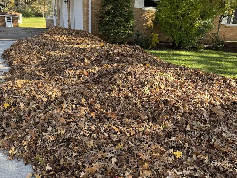 Driveway buried under leaves before a fall cleanup in Stark County, Ohio